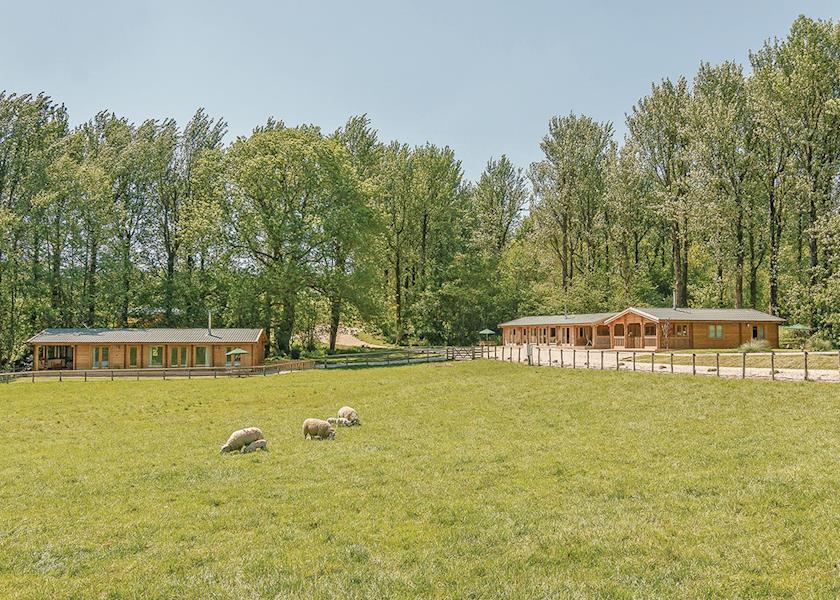 Peckmoor-Farm-Lodges