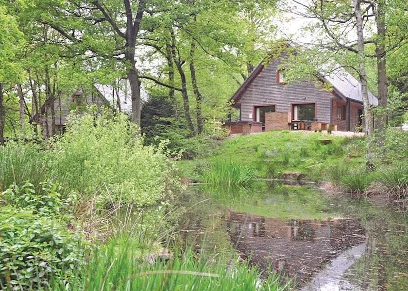 Ramshorn-Estate-Woodland-Lodges