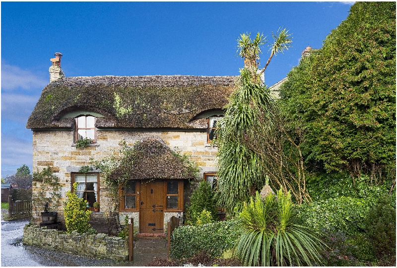 Click here for more about Sunnybank Thatch